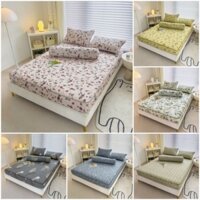 Bộ Ga Gối Trần Bông Cotton Đũi Hàn, Ga Trần Bông Bo Chun 4 Món Dày, Mềm, Mát Mịn Cozy