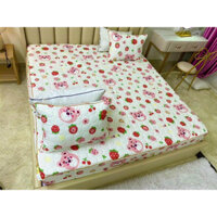 BỘ GA GỐI TRẦN BÔNG COTTON ĐŨI hàn quốc