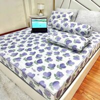 Bộ Ga Gối Trần Bông Cotton Mịn, Đũi Nhẹ Nhàng, Nữ Tính, Tông Màu Mát Mẻ