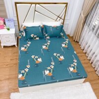 Bộ ga gối trần bông cotton nhật