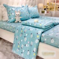 Bộ Ga Gối Vải Cotton Hàn Quốc 4 Món Nệm 10 CM - Chat Shop Gửi Màu - 120x200x10cm