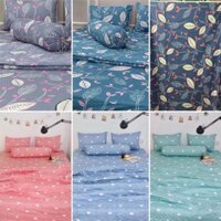 Bộ Ga Mền cotton Thắng Lợi (nệm <23p)