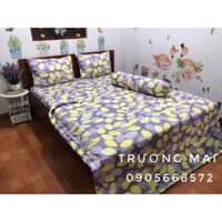 Bộ Ga mền Thắng Lợi 100% cotton