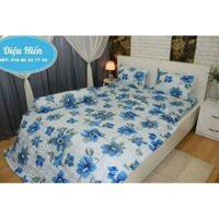 Bộ ga thắng lợi m6