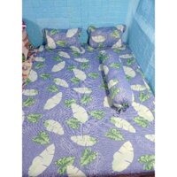 BỘ GA THUN HÀN QUỐC LÁ DỪA XANH (4món gồm 1 ga nệm ,2 áo gối nằm ,1 áo ôm )chất thun dày,mịn,mát, không xù không ra màu,