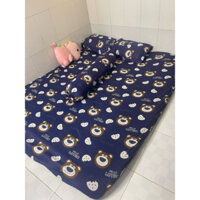 😍Bộ Ga Thun Lạnh 3D Hàn Quốc (Sét 4 món ko chăn). Những Mẫu Siêu Cute