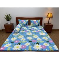 Bộ ga thun lạnh Hàn Quốc 1.6x2m nệm cao 20-25cm