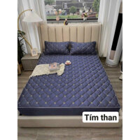 Bộ ga trải giường trần bông+2 vỏ gối đầu phi lụa bo chun bọc đệm trần bông dày dặn 1m6 1m8 2m2