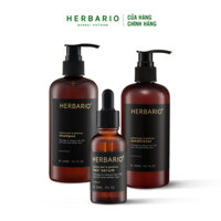 Bộ giảm gãy rụng tóc từ vỏ bưởi và bồ kết Herbario: Dầu gội 300ml + Dầu xả 300ml + Serum 30ml