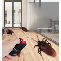 Bộ Gián, nhện điều khiển từ xa