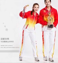 Bộ gió JING MAI T12/2016 M2