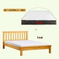 Bộ Giường Gỗ Thông 1m6 ALI và Nệm Foam 1m6 TONKIN