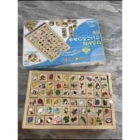 Bộ gỗ Kumon bảng chữ cái Tiếng Nhật Higarana [thanh lý]