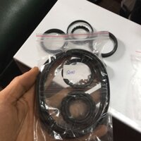 Bộ goăng phớt xi lanh khí nén sc100