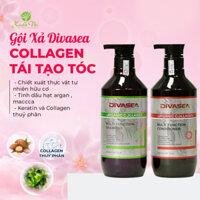 Bộ Gội – Xả – Divasea Oganic Collagen 800ml