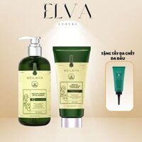 Bộ Gội Xả Gừng Weilaiya Xanh Detox Hỗ Trợ Mọc Tóc & Ngăn Lão Hóa Da Đầu (Gội 420ml; Xả 200ml)