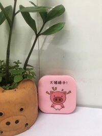 Bộ gương mini Pig (K)