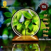 BỘ HÀO QUANG VÒNG ĐÈN LED + ĐẾ GỖ CHỮ NHẬT A05 NHIỀU KÍCH THƯỚC (Xem thêm phần mô tả chi tiết sản phẩm)