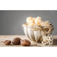 Bơ hạt mỡ ( Shea Butter)