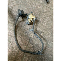 Bộ Heo Dầu Sirius Nhật