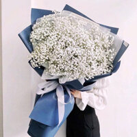 Bó hoa baby hai tone màu xanh, trắng