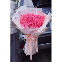 Bó hoa baby khô hồng size lớn