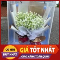 Bó hoa baby trắng nhựa tặng kèm túi trong và đèn