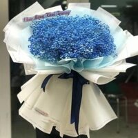 Bó Hoa Baby Xanh Giá 800.000₫ (Mẫu Bó Hoa Dài)