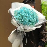 Bó Hoa Baby Xanh Giá Rẻ 600.000₫ [Hoa Nhập Khẩu]