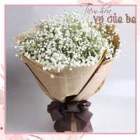 Bó hoa baby