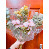 Bó hoa bất tử cao cấp ❤️Hoa khô bất tử
