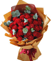 Bó hoa cẩm chướng đỏ