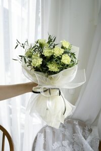 Bó Hoa Cẩm Chướng Kem Bơ BS13