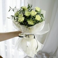 Bó Hoa Cẩm Chướng Xanh BM39