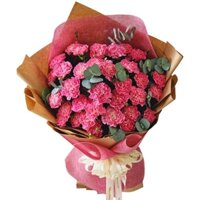 Bó hoa cẩm chướng