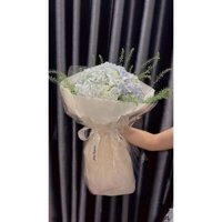 Bó hoa cẩm tú cầu 5 bông lớn