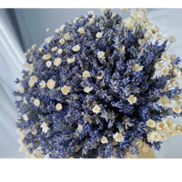 Bó hoa cưới Lavender khô không tàn, hay còn gọi hoa Oải Hương đẹp độc đáo, kèm hoa cài áo chú rể