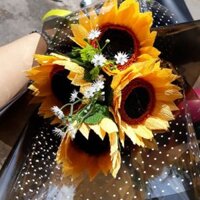 Bó hoa hướng dương
