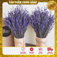 Bó Hoa Khô Lavender - Hoa Oải Hương Nhập Khẩu Anh (120g ~ 100 Cành) Giá Rẻ