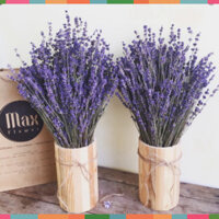 Bó Hoa Khô Lavender - Hoa Oải Hương Nhập Khẩu Anh (100g ~ 100 Cành) Giá Rẻ