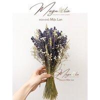 Bó hoa Lavender cầm tay cô dâu mix lúa mạch hà lan và hoa khô baby trắng ❤️Hoa Khô Mộc Lan❤️