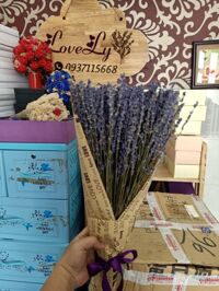 Bó Hoa Lavender Khô( B06)