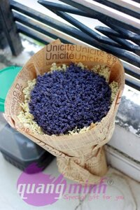 Bó hoa lavender khô big size