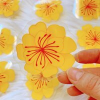 Bộ Hoa Mai Plastic