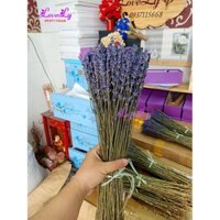 Bó hoa oải hương Lavender khô nhập Pháp 200 cành