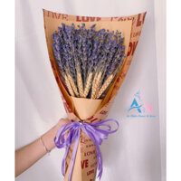 Bó Hoa Oải Hương Quà tặng - Hoa Lavender Pháp Trang Trí & Decor | Hoa Khô An Nhiên Flower