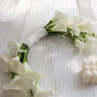 bó hoa rum còn bán Nguyệt siêu xinh ceveria