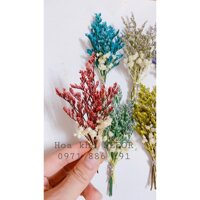 Bó hoa sao khô mini Bó hoa khô mini trang trí, decor chụp ảnh - Đỏ