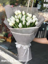 Bó hoa sinh nhật Tulip trắng 30 bông – Thanh tao