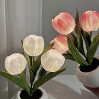 Bó Hoa Tulip Giả Có Đèn Led Trang Trí Phòng Ngủ Cho Nữ